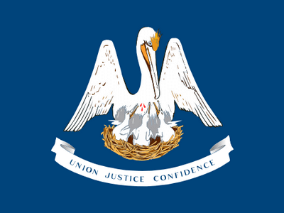 Louisiana flag
